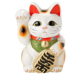 白 小判猫 6号 お金を招く右手 招き猫 常滑焼