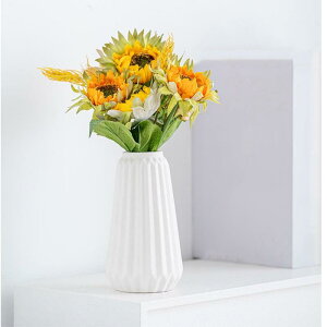 ԕrԕr֑} t[x[XȂт傫Ԃт񂩂тԊFukuka VvJr1蕧d тƂԊ핧dpԃr (zCgC)