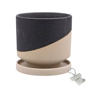 J-kitchens Select u ԕr  Aؔ Ă fUC |bg B-L ubN 14xH13cm IWi^Ot P-564785