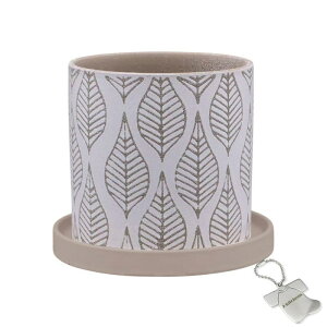 J-kitchens Select u ԕr  Aؔ [t fUC |bg B x[W 13.5xH13cm IWi^Ot P-564839