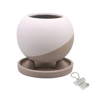 J-kitchens Select u ԕr  Aؔ Ă fUC |bg C zCg 15.4xH12cm IWi^Ot P-564303