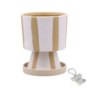 J-kitchens Select u ԕr  Aؔ \ fUC |bg O S zCg 12xH14.5cm IWi^Ot P-563818