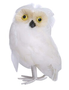 Ał킢 ̃IuWF CeÃANZgƂ i`eCXĝ (tNEizCgj)