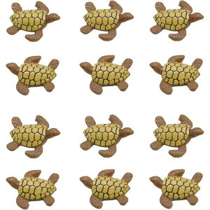 12  ~jtBMA  C u C? u ANAE TtBMA ~j`AT ق̑    ~j`A i ANAE IuWF Aȓ