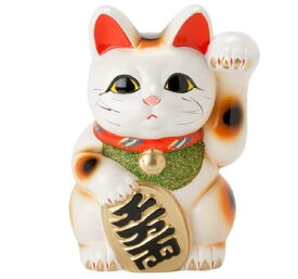 白 小判猫 6号 人を招く左手 招き猫 常滑焼