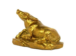 x N u 蕨 N   ӂ  (^J)