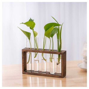 花瓶 試験管 木製フレーム 透明 ガラス フラワーベース 一輪挿し 水耕栽培 花器 おしゃれ 花瓶台 観葉植物 花試験管 植物の栽培 シンプル 生け花 卓上 壁掛け可能 インテリア飾り
