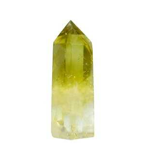 [TANAKAEYA] VR Vg |Cg   Zp NAx I i 򉻗p Ϗܗp SVR z W{^  ObY NX}X VN v[g q[O T