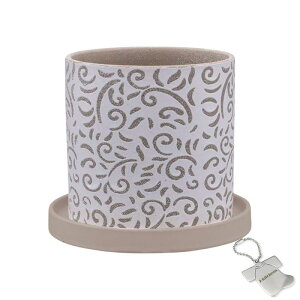 J-kitchens Select ԕr  Aؔ  fUC |bg A x[W 13.5xH13cm IWi^Ot