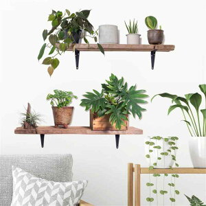 HOTIYOK ins EH[XebJ[ k A  ǃXebJ[   ǂɓ\ Ǐ diy ǎ  V[  j̎q ̎q Q q  EH[ y[p[ A[g ۈ牀 ͂