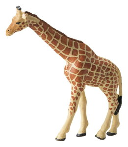 zr[ A u IuWF  ~j tBMA