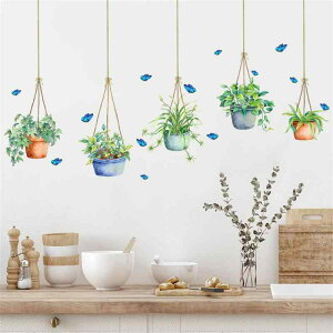 SMAOSTORE(܂) EH[XebJ[ A nMO   rO[ Q  ϗtA XebJ[ wi̕ A h ͂ EH[V[ ǎV[