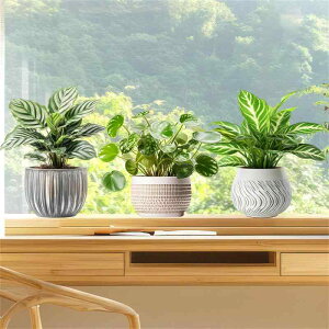 Hikosiya 静電ステッカー 窓ステッカー 観葉植物 鉢植え 窓 ドア 鏡 ガラス 飾り 剥がせる 両面印刷 水で貼る 貼り直し可能 静電気シール インテリア おしゃれ ステッカー DIY PVC素材 生活防水