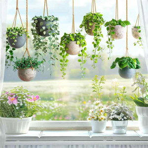 Hikosiya ÓdXebJ[ XebJ[ t   X A  hA ˒I  KX 킢  ʈ œ\ \蒼\ ÓdCV[ CeA  t  lG XebJ[