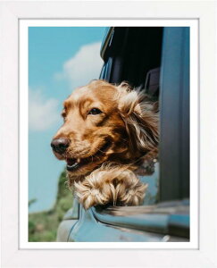 LEADINTOP _ChA[g tHgt[ ؐ 30 x 40 cm _ChGp ʐ^ Ǌ|  p fBXvCt[ ʐ^t[ \ |X^[ ܏z  IV z