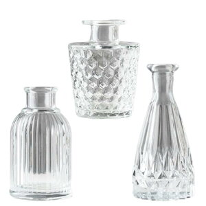 KINOKINO t[x[X KX ֑} ԕr  