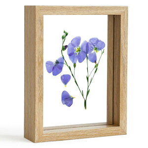 ʐ^ 2L tHgt[ KX AeB[N i` DIY  W{ cu u p  ʐ^t[ 178mm×127mm Mtg v[gig̉Ԃ͌{łj