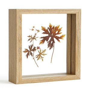 tHgt[ `  KX ʐ^ AeB[N i`   Mtg v[g k ؖ127x127mm ؘg W{ig̉Ԃ͌{łj