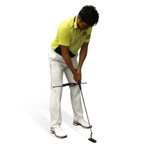 _CSt(DAIYA GOLF) p^[K _CvpbgV[Y p^[K pbgK StK Kpi g[jO AhX pbeBOtH[ |E