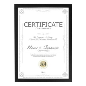 Wtrgas z A4 ܏z }Olbg t[ z ʐ^ G Ǔ\ tȒP ubN 1