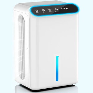 y2025ŐViz@ ^ y_uy`FŏUPzC@ ͏ ߗފ 2.5Le 1L/ }CiXCI@\t WotB^[ C/~J΍ I/Jr