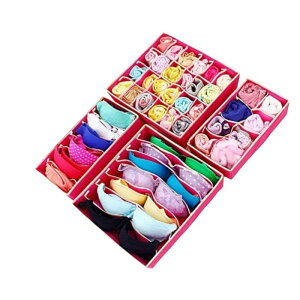 RYUBOF �������[�{�b�N�X �������[�P�[�X �܂��� �ߗ� �����o�� �d�؂� �u���W���[���[ 4�_�Z�b�g �C�����[ �^����h�~ �ȃX�y�[�X ���� �ʋC �h�o �h�� ���L �N���[�[�b�g ��������