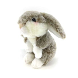 キュート販売 ぬいぐるみ ふわふわうさぎ S