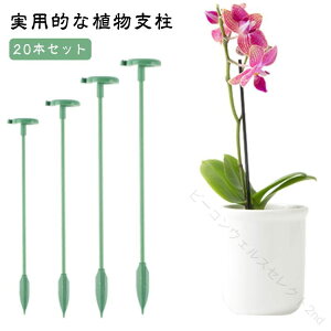20�{ �Z�b�g 48cm 58cm 27cm 37cm �U�� ���| �x�� �t�����[ �X�^���h �� ������ �A�� �x�� �鐫�A�� �x�� �A�� �T�|�[�g �K�[�f�j���O �t�����[ �x�� �� �x�� �_�Ɨp ���|�p ��ؗp �ϏܐA���p �ƒ�
