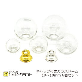 キャップ付き ガラスドーム 6個セット 10mm 12mm 14mm 16mm 18mm 蓋付き 丸 球体 ボール ゴールド シルバー 金 銀 透明 クリアー レジン ハーバリウム ドライフラワー アクセサリーパーツ ピアス イヤリング チャーム ハンドメイド