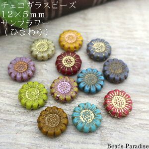 `FRr[Y@12×5mmTt[iЂ܂ji2jG