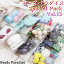 ビーズパラダイス・スペシャルパック【Vol.13】