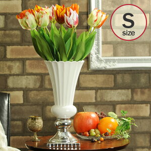 ԕr  t[x[X yeBG S zCg _PP02 326-306-173 Ԋ F  GKg NVbN GKg p[eB[ [sA  CeA CeA GKg D 