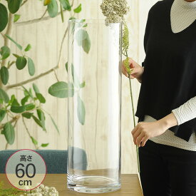 ガラス花瓶 EUROグラス 直径19×高さ60cm クリアー _PP02 778-026-000 フラワーベース 大きな 北欧 ヨーロッパ シンプル 円柱 花器 透明 大きい 大型 おしゃれ