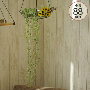 グリーンネックレス 室内の人気商品 通販 価格比較 価格 Com