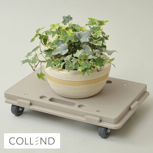 COLLEND Rh z[L[ HC-MC  L[ LX^[ ߗ Ƌ ^   ƒp RpNg