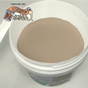  hǍ ЂƂœh 11kg ς p   IUEH[ ΊDǍ  ǎ y DIY ͗lւ sR q S S hJr ێ A[XJ[