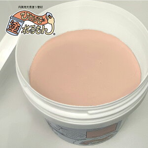 漆喰 塗り壁材 ひとりで塗れるもん 22kg 練済み 室内用 漆喰 左官 オンザウォール 石灰製壁材 壁 壁紙 土壁 DIY 模様替え 不燃 子供 安心 安全 防カビ 保湿 アースカラー