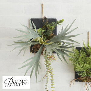 Brown. uE rJNV_ EH[nMO X[g 20 _PP02 991770 ϗtA  tFCNO[ RE Ǌ| {^jJ t rO  JtF X