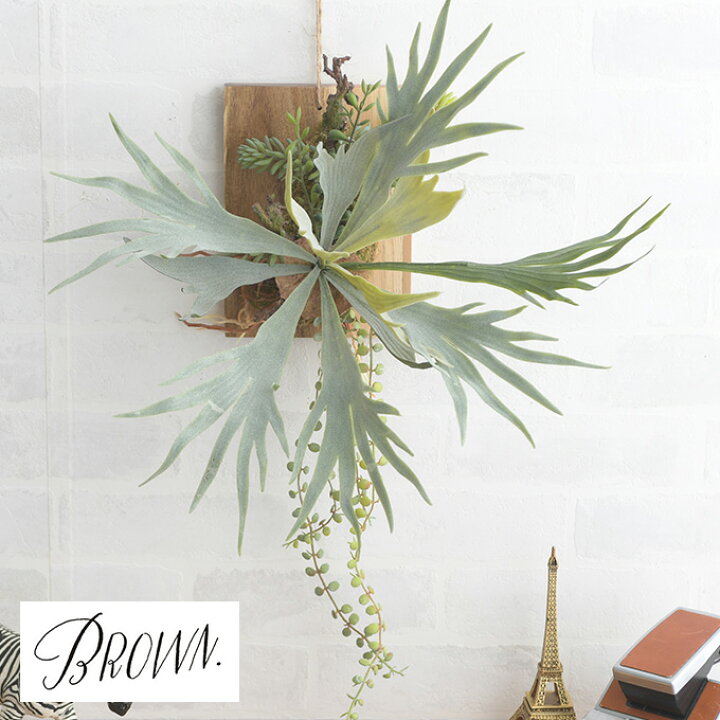 楽天市場 フェイクグリーン 観葉植物 Brown ブラウン ビカクシダ ウォールハンギング アカシア 310 0 人工観葉植物 造花 ハンギング おしゃれ ディスプレイ インテリア 壁掛け あす楽対応 Diyインテリア Rooming ルーミング 楽天市場 フェイクグリーン 観葉植物 Brown ブラウン ビカクシダ ウォールハンギング アカシア 310 0 人工観葉植物 造花 ハンギング おしゃれ ディスプレイ インテリア 壁掛け あす楽対応 Diyインテリア Rooming ルーミング