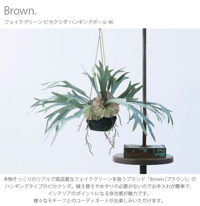 楽天市場】Brown. ブラウン ビカクシダ ハンギングボール 46 991620 