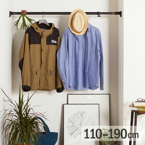 突っ張り棒 突っ張りパワフルポール マットブラック 大 110-190cm RTB-110 つっぱり棒 強力 伸縮 おしゃれ ハンガー パーテーション リビング クローゼット 収納 かっこいい