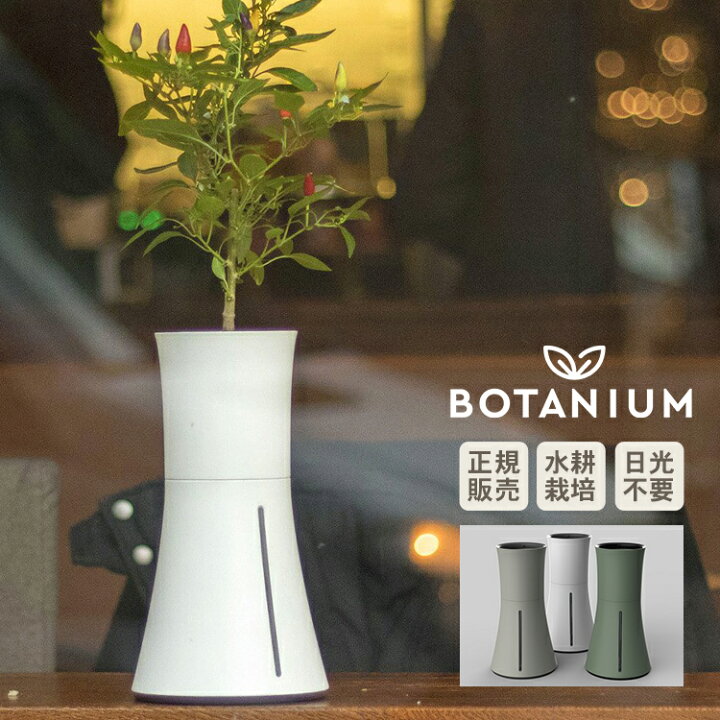 楽天市場 水耕栽培 キット Botanium ボタニアム 自動散水式プランター Msplant 栽培キット かわいい おしゃれ 初心者 室内 簡単 ハーブ 容器 バジル ハイドロ カルチャー 北欧 インテリア 人気 花 体験 キット 送料無料 Diyインテリア Rooming ルーミング