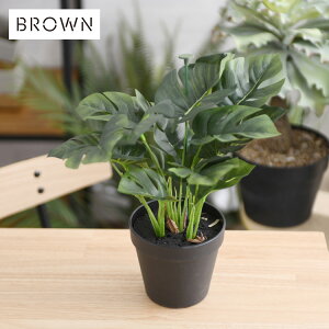 Brown. uE Xe |bg 28 992050 ϗtA tFCNO[ CeAO[  ~j   {^jJ O[fBXvC rO  JtF X