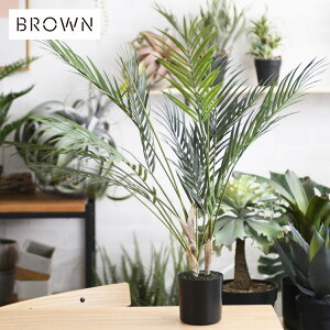 Brown. uE AJV |bg 70 992160 ϗtA tFCNO[ CeAO[ ^ |bg V   {^jJ O[fBXvC rO  JtF X