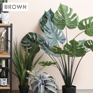 Brown. uE Xe |bg 97 992100 ϗtA tFCNO[ CeAO[ ^   {^jJ O[fBXvC rO  JtF X