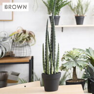 Brown. ブラウン サンセベリア ポット 991590 観葉植物 フェイクグリーン インテリアグリーン 多肉 多肉…