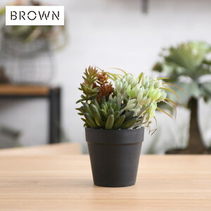 Brown. uE ~jAWg |bg SA 991780 ϗtA tFCNO[ CeAO[  ~j  A   {^jJ 񂹐A O[fBXvC r