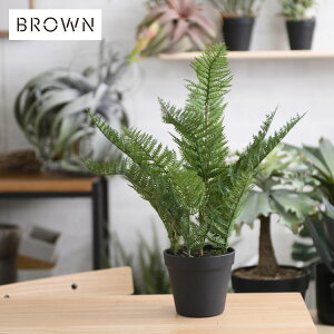 Brown. uE t@[ |bg 56 992000 ϗtA tFCNO[ CeAO[ k eA  {^jJ O[fBXvC rO  JtF X