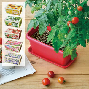 種 栽培 野菜 ミニトマトの人気商品 通販 価格比較 価格 Com