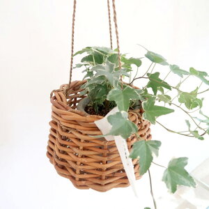 nMO v^[ THE AROROG GARDENiBj 91610012 i`G  [ JS ^ nMO Vv {^jJ Jo[